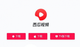 西瓜视频apk,畅享海量视频，轻松追剧新体验